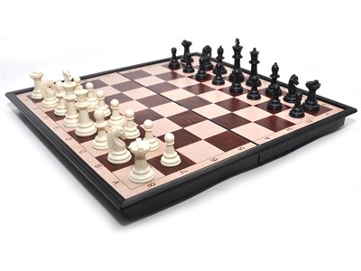 Игра настольная магнитная "2 в 1". Размер доски 27 см х 27 см. 3135 - фото 1047842567