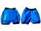 Ледянка-шорты ТЯНИ ТОЛКАЙ Ice Shorts1 L синий - фото 1047849053