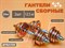 Гантели сборные 2 шт по 12,5 кг HA2-DD25  (оранжевый) - фото 1057906145